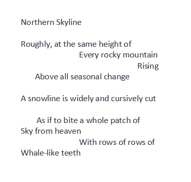 northern skyline